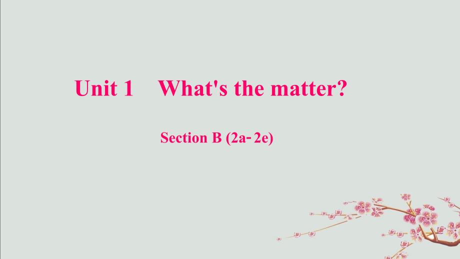 信州区某中学八年级英语下册-Unit-1-What's-the-matter-Section-B-(2课件_第1页