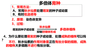 高三一輪復(fù)習(xí)生物變異在育種中的應(yīng)用課件