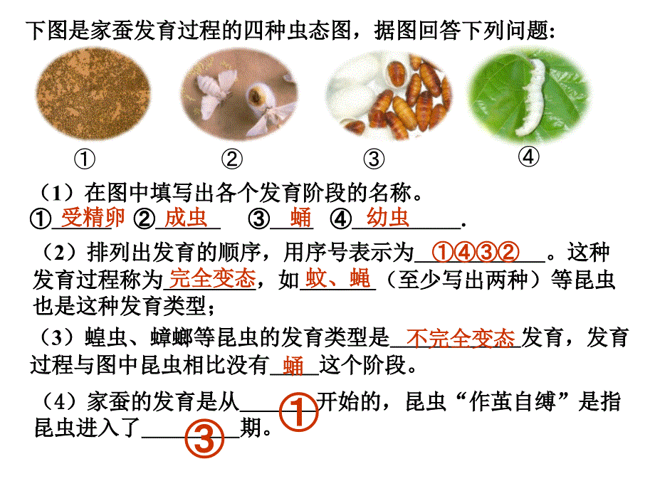 两栖动物的生殖和发育(课件)--_第1页