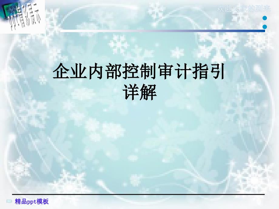 企业内部控制审计指引详解课件_第1页