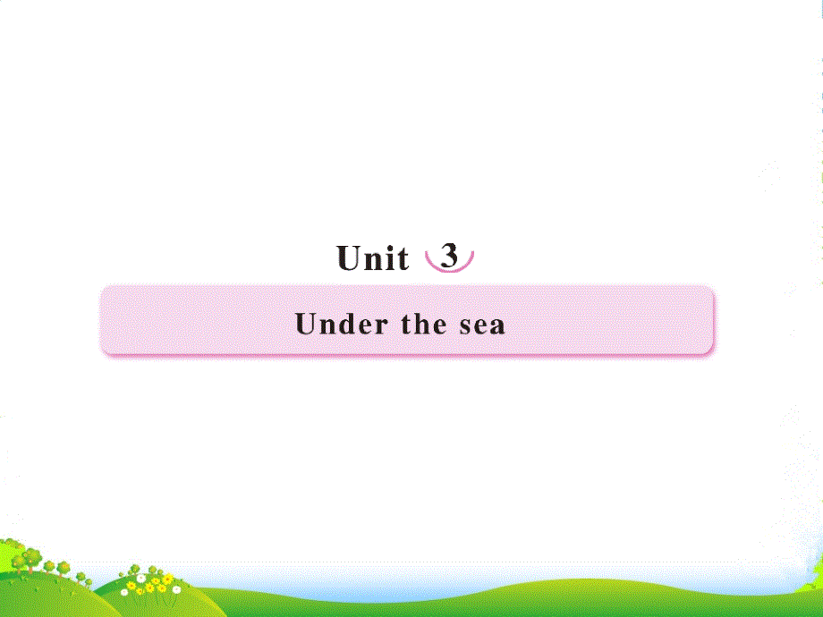 高考英语备考复习-Unit3-Under-the-sea课件-新人教版选修7_第1页