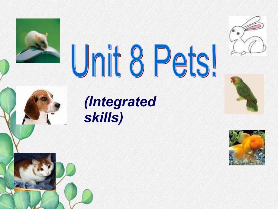 公开课获奖《Unit8-Pets-Intergrated-skills》课件(公开课)-_第1页