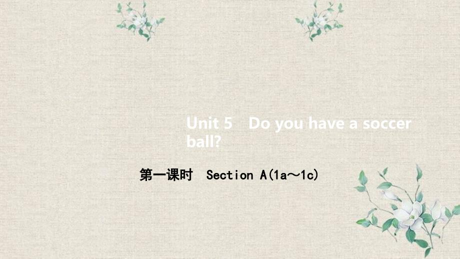 饶阳县某中学七年级英语上册Unit5Doyouhaveasoccerball第一课时Section课件_第1页