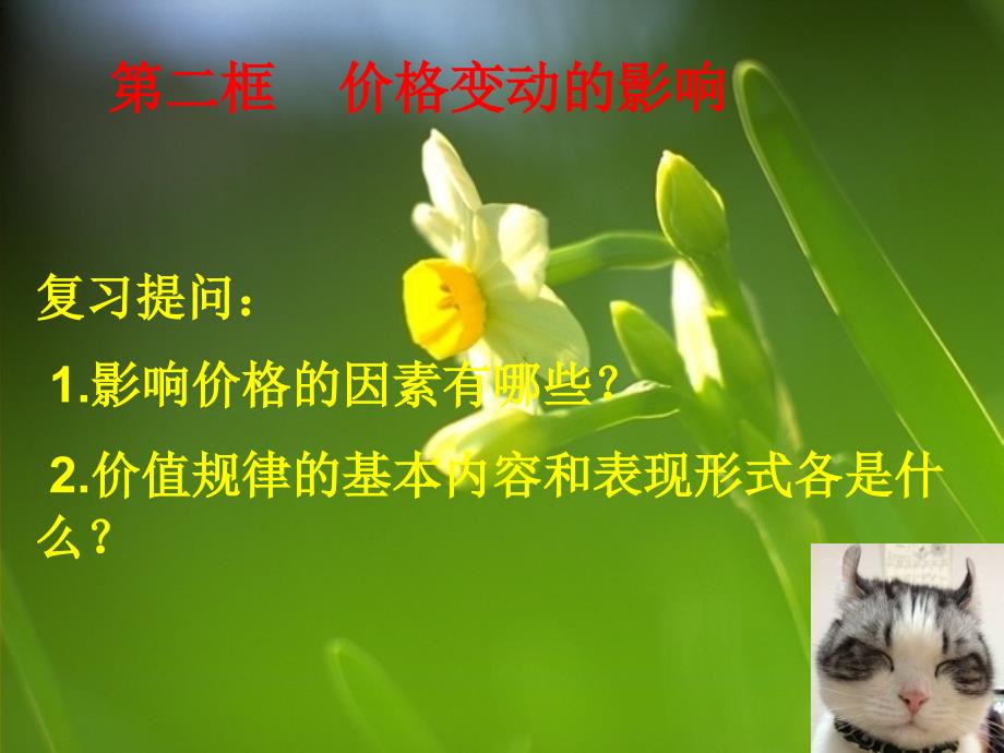 价格变动的影响.ppt_第1页