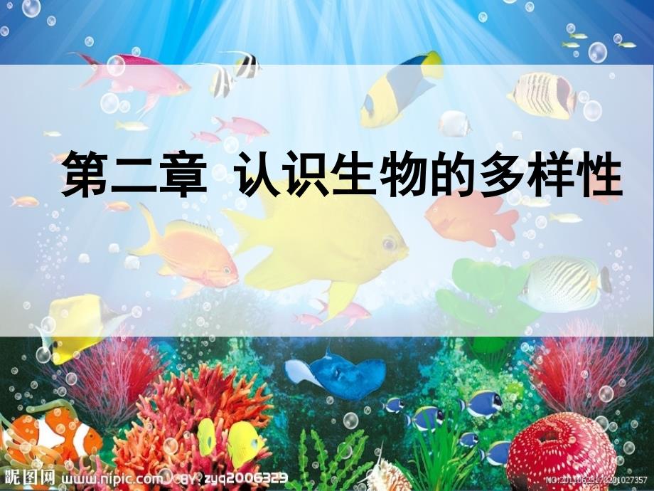 认识生物的多样性-PPT_第1页