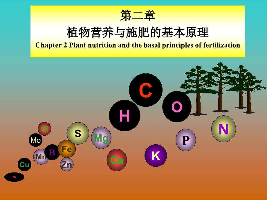 植物营养与施肥基本原理第2节植物对养分吸收开_第1页