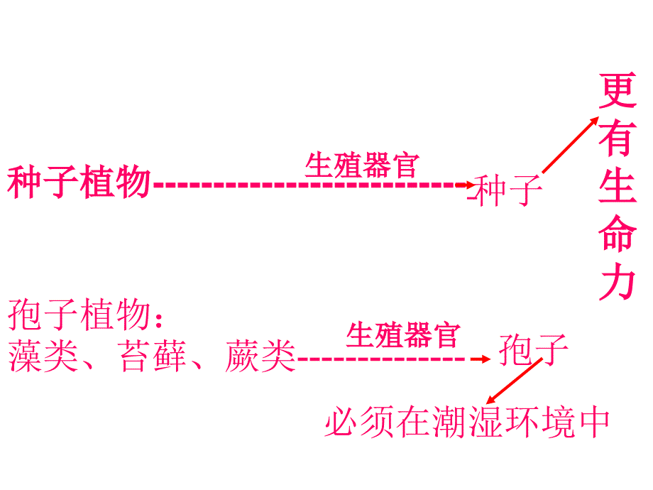 321种子的萌发复件好_第1页