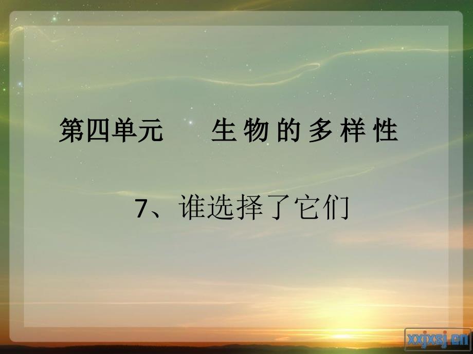 47六年级上册科学谁选择了它们_第1页