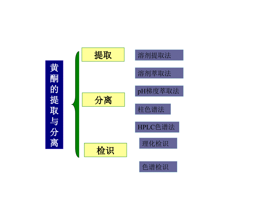 黄酮2溶剂提取法_第1页