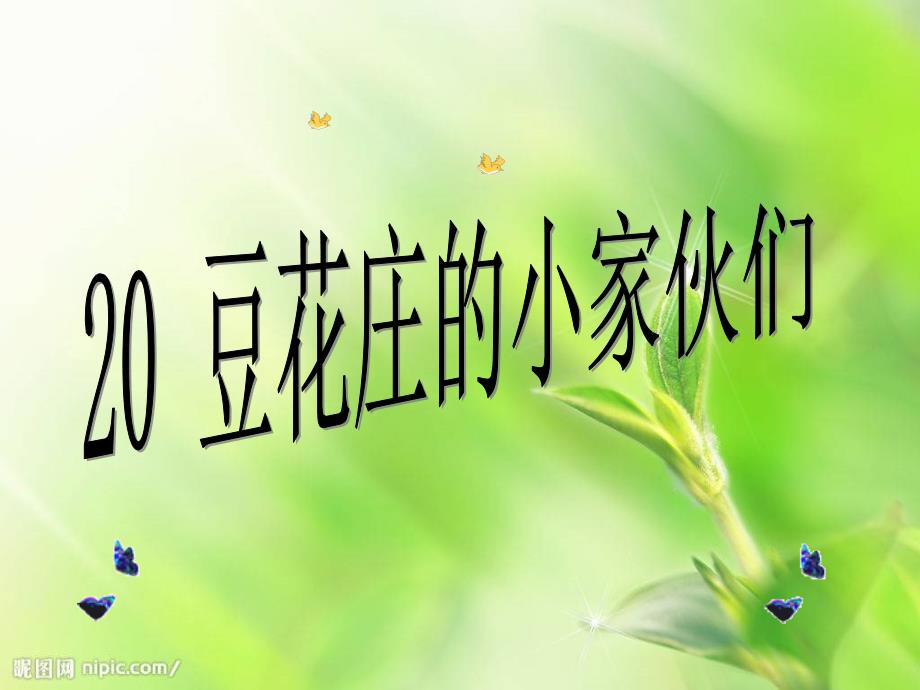 20豆花庄的小家伙们(第二课时）_第1页