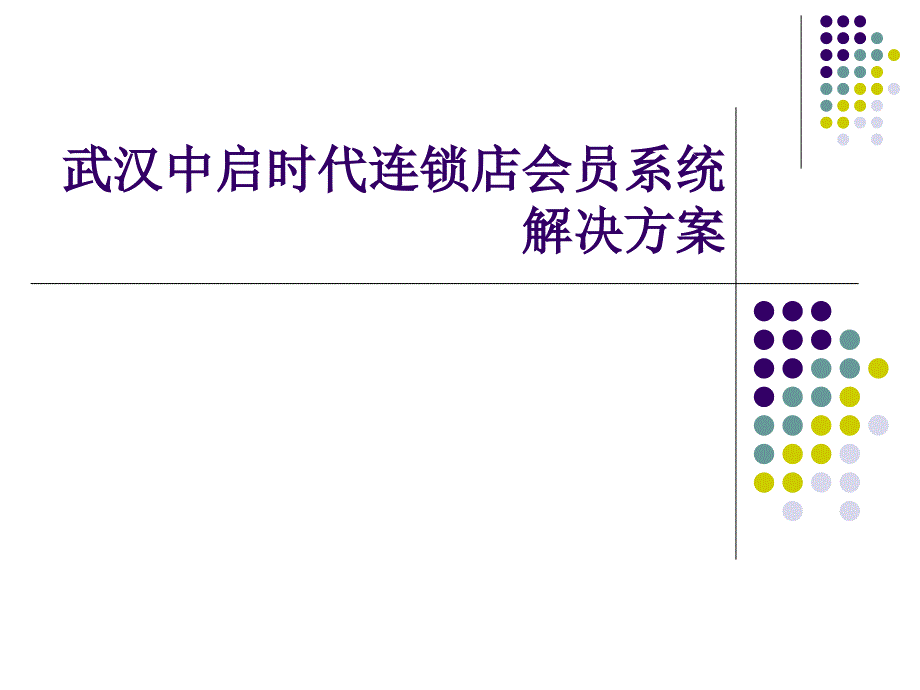 连锁会员管理系统-1_第1页