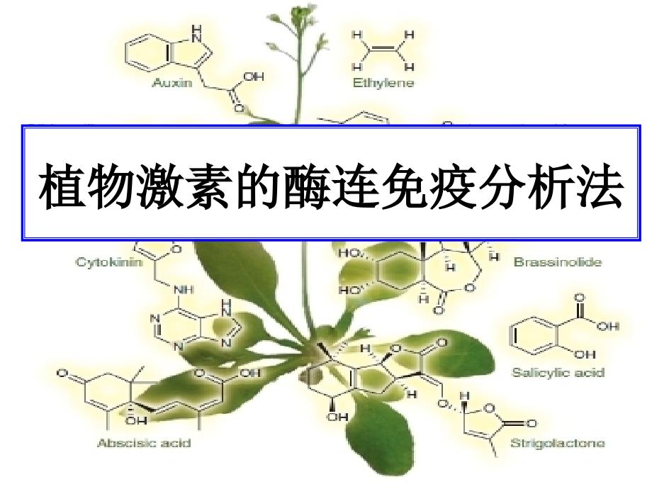 植物激素的测定方法_第1页