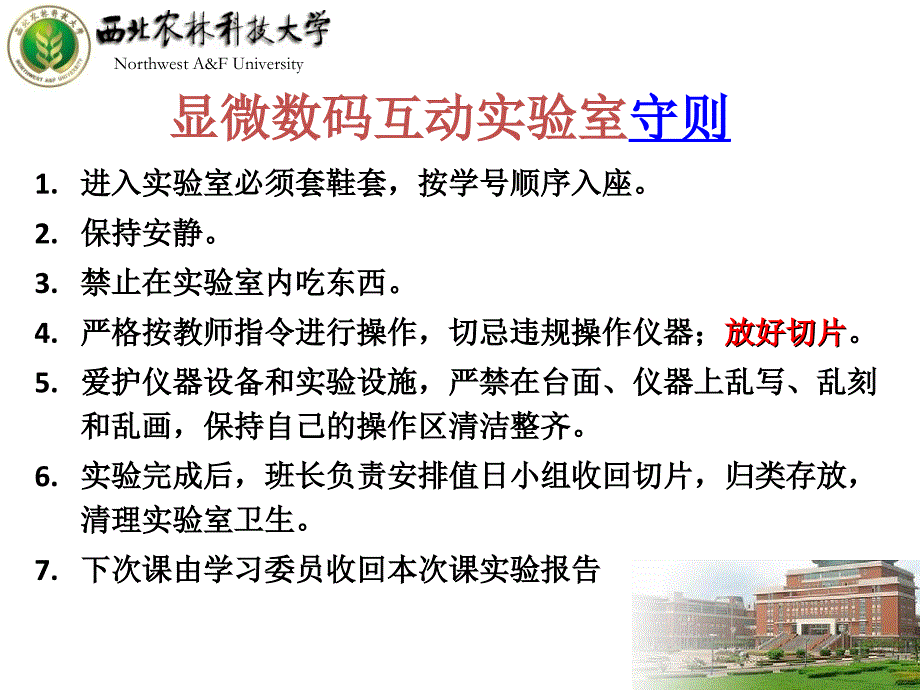 显微数码互动实验室守则_第1页