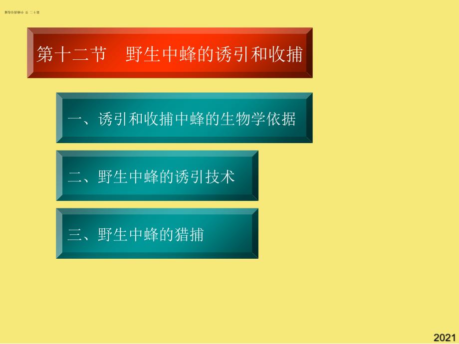 第十二-節(jié)-中蜂誘引收捕優(yōu)秀文檔_第1頁