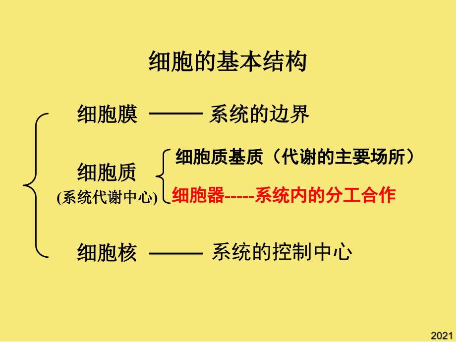 第节-细胞器——系统内的分工合作优秀文档_第1页