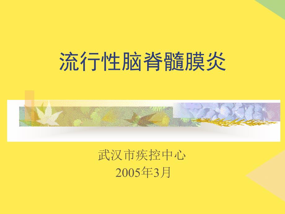 流行性脑脊髓膜炎2(“流脑”相关文档)共37张_第1页