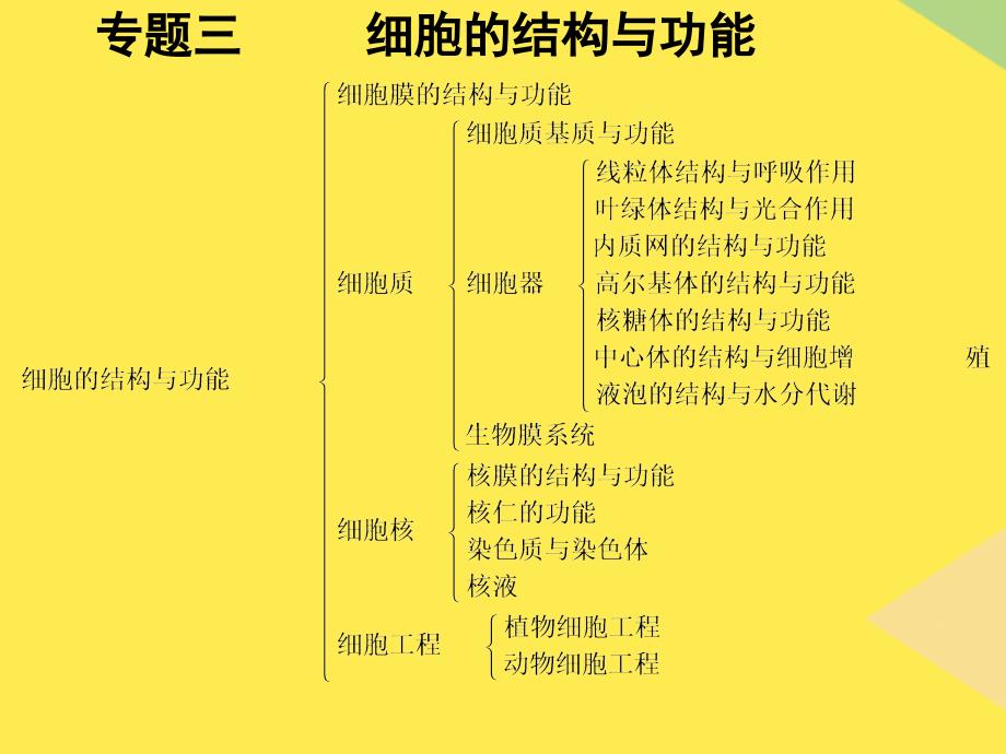 细胞的结构与功能(“细胞”相关文档)共10张_第1页