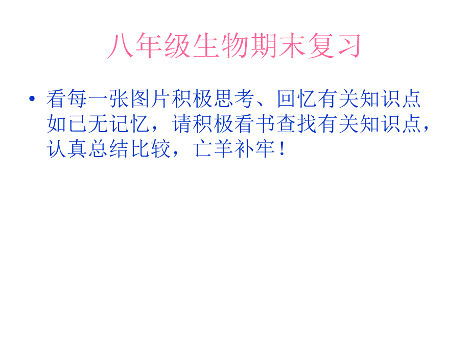 初中生物--八年级上册生物复习1-苏科版课件_第1页