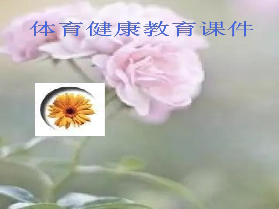 吸烟的危害中小学教学课件_第1页