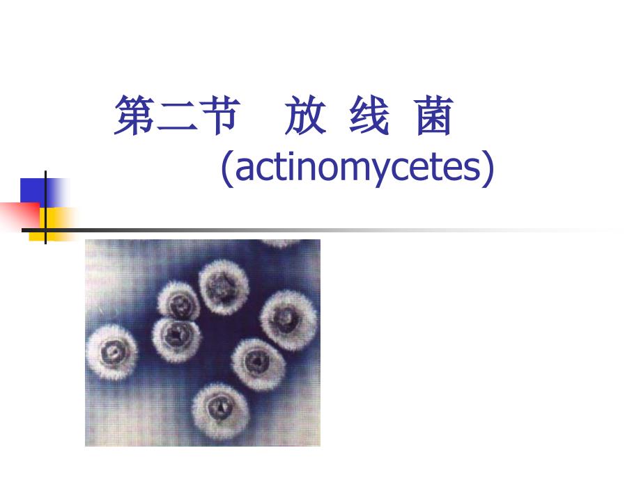 第二章 放线菌_第1页