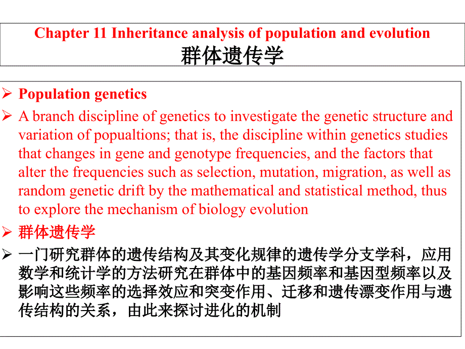 群体遗传学课件_第1页