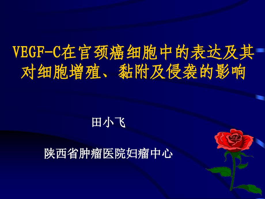 VEGF-C在宫颈癌细胞中的表达及其对细胞增殖黏附及侵袭的影响_第1页