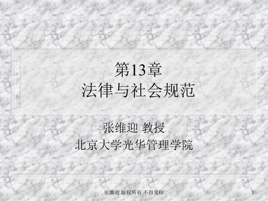 第13章 法律与社会规范_第1页