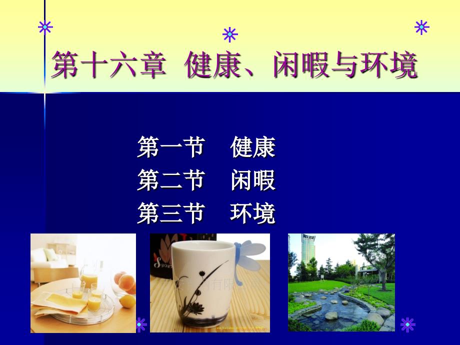 社会学 第十六章 健康、闲暇与环境25插图版_第1页