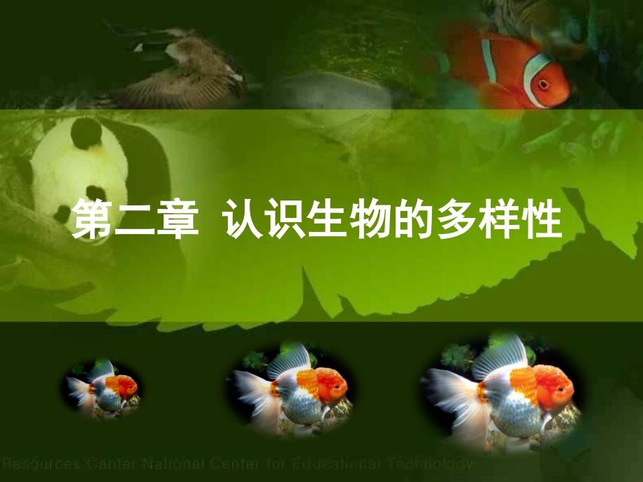 认识生物的多样性-公开课63661_第1页