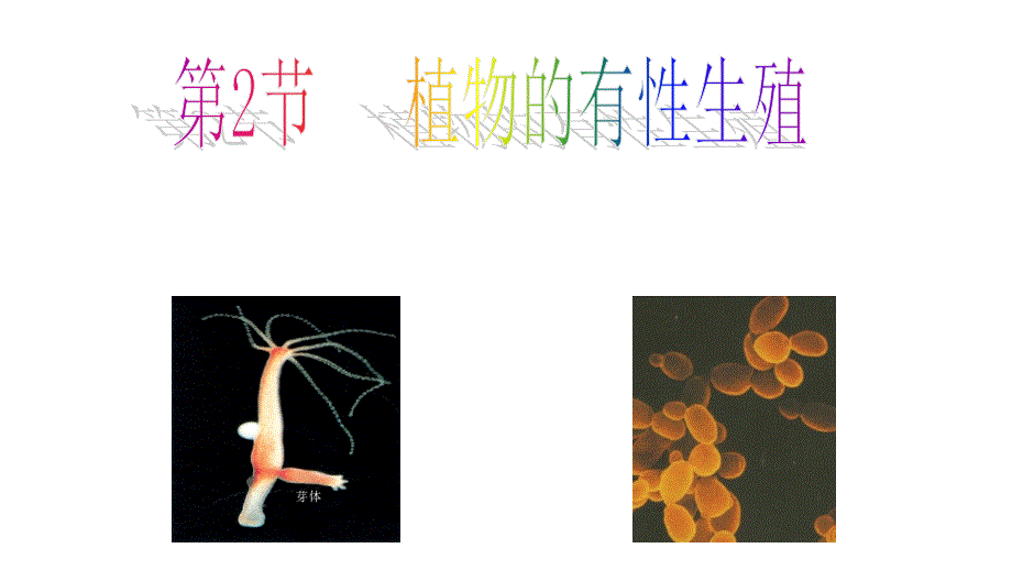 最新苏教版生物8年级下册第21章第2节《植物的有性生殖》课件_第1页