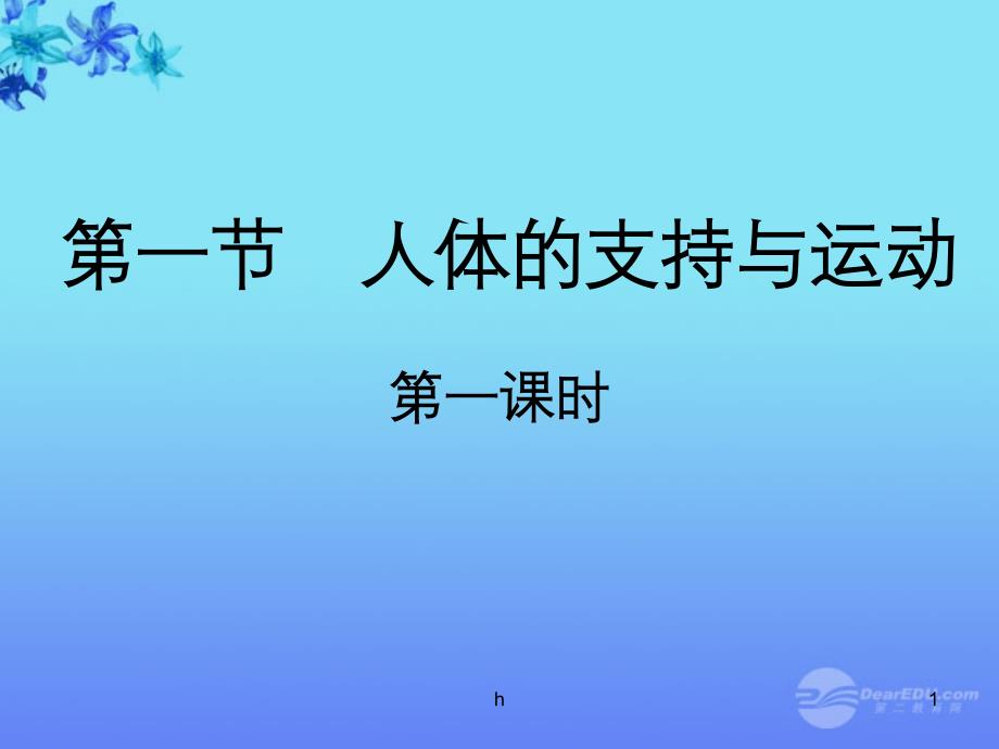 江苏省无锡市XX中学八年级生物《人体的支持与运动》课件-人教新课标版_第1页