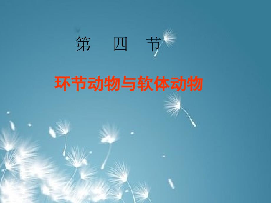 教学课件环节动物与软体动物_第1页