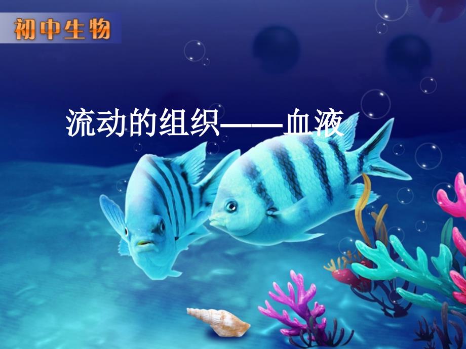 流动的组织——血液-3-初中生物人教版七年级下册课件_第1页