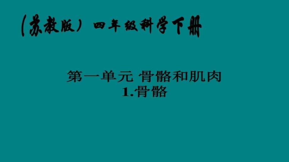 苏教版小学四年级下册科学骨骼课件_第1页