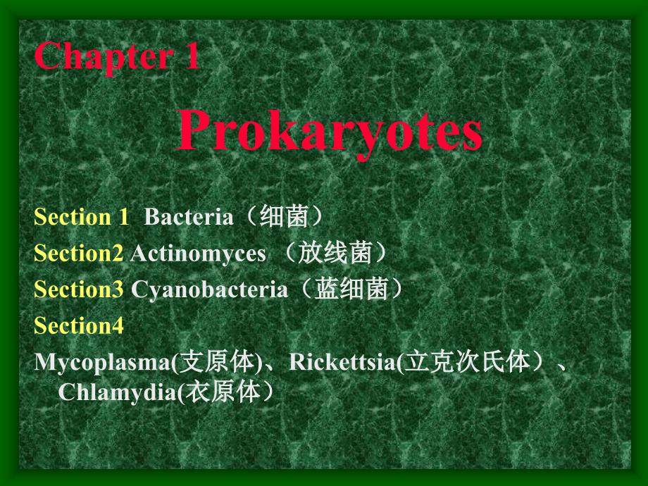 微生物学--第一章1课件_第1页