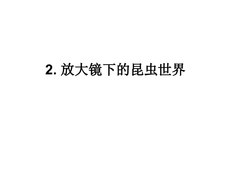 小学科学《放大镜下的昆虫世界》精美课件1_第1页