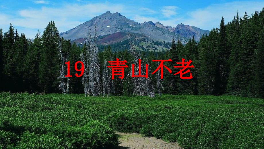 统编版六年级上册青山不老课件_第1页