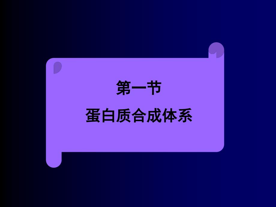 蛋白质合成体系_第1页