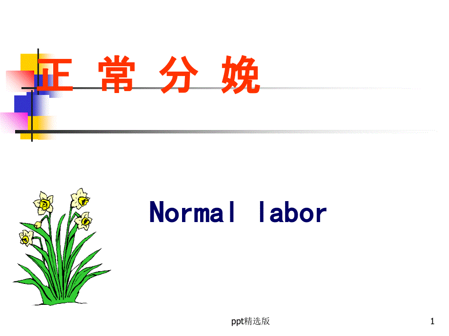 正常分娩-妇产科1课件_第1页