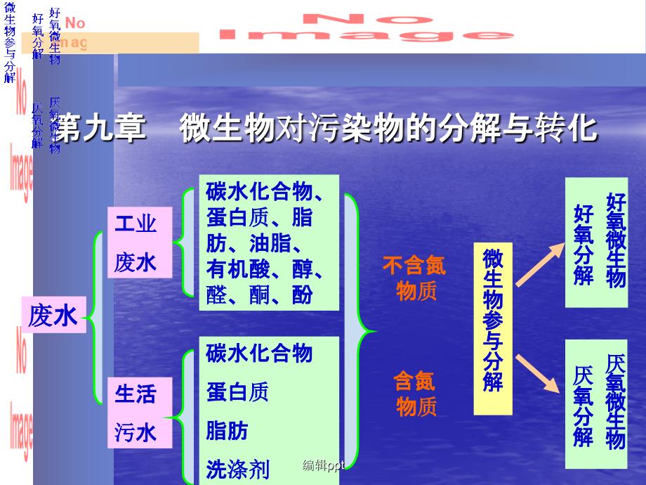 水处理微生物第九章课件_第1页