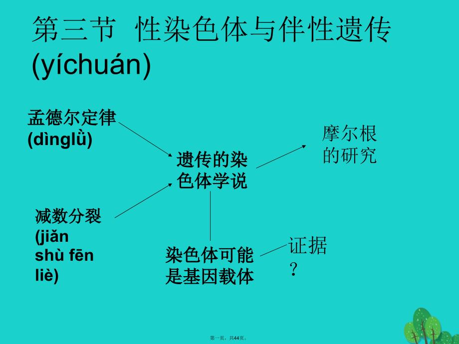 浙江省桐乡市高考生物一轮复习性染色体与伴性遗传课件新人教版_第1页