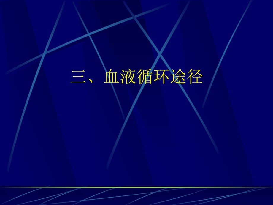 血压与脉搏-七年级生物上册教案课件_第1页