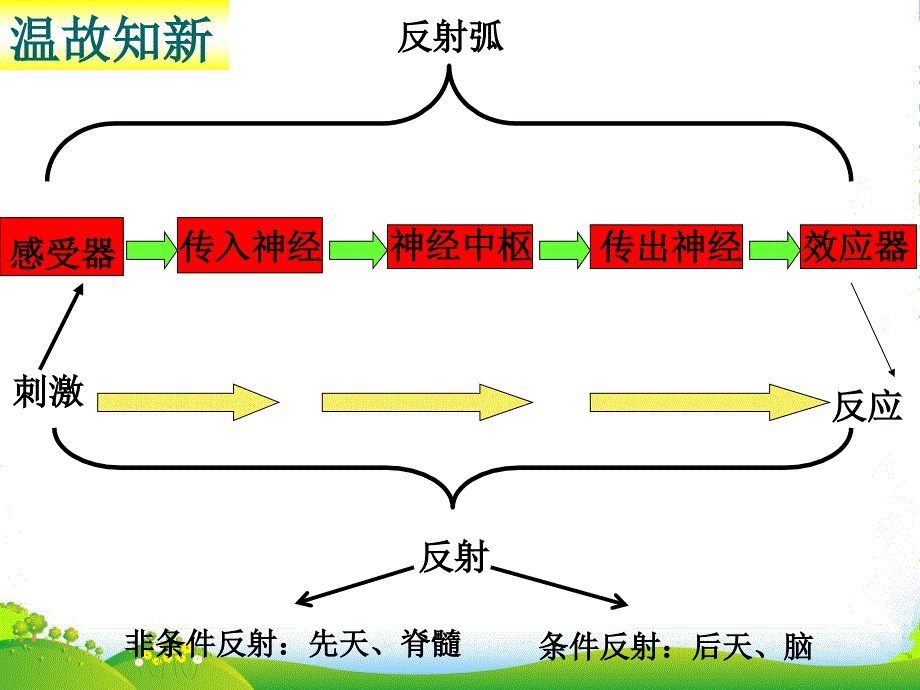 湖北省武汉XX学校七年级生物下册-6课件_第1页