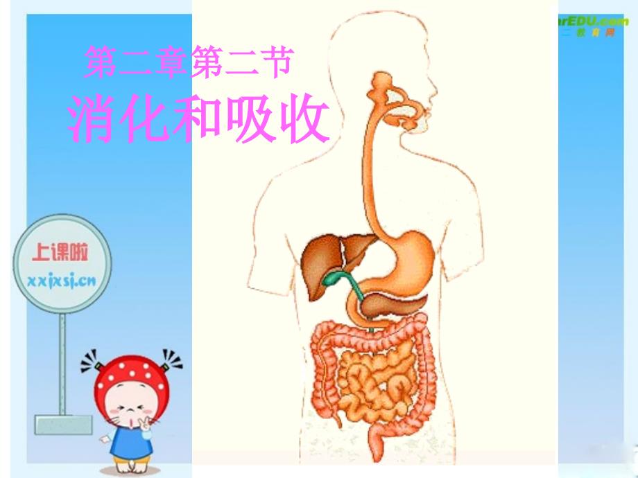 七年级的生物下册：第四单元第二章第二节消化与吸收6人教版课件_第1页