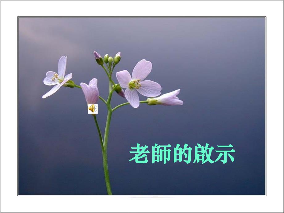 老师的启示(送给师生)_第1页