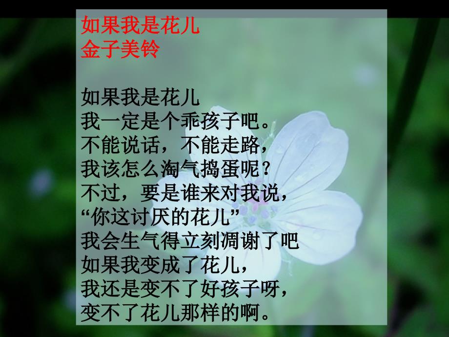 21如果我是花儿课件_第1页