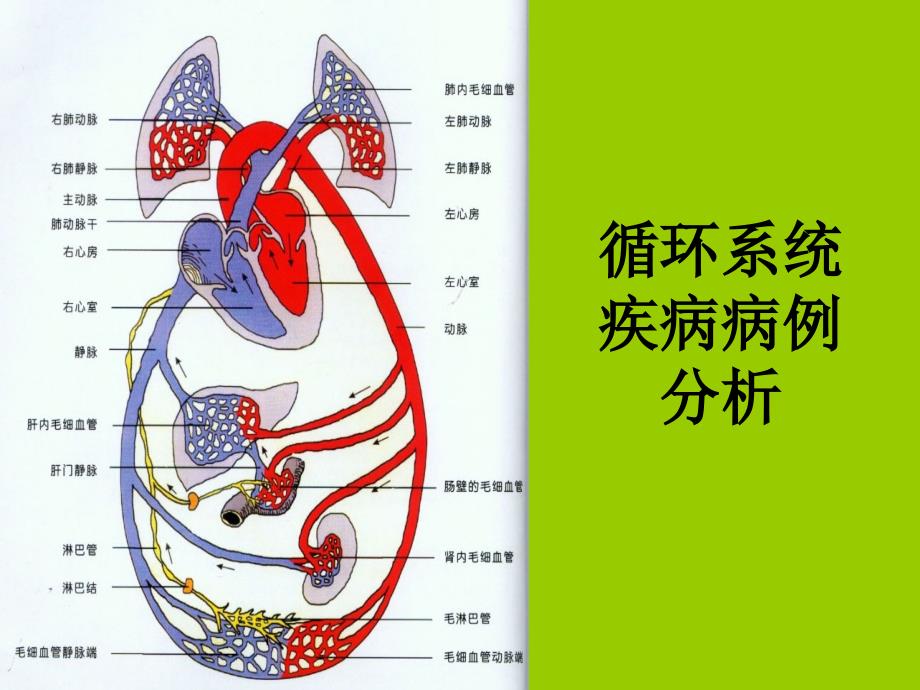 循环系统疾病病例分析_第1页