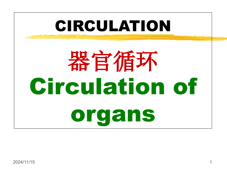 循环系统-脏器循环课件_第1页