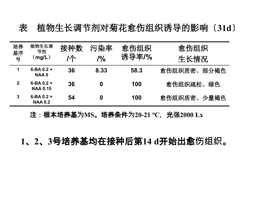 植物组织培养实验结果_第1页