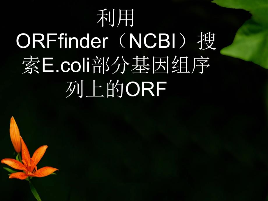 举例演示利用ORFfinder(NCBI)搜索E.coli部分基因组序列上的ORF_第1页